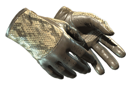 ★ Driver Gloves | Diamondback (Minimal Wear)
