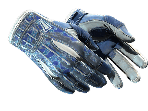 ★ Sport Gloves | Amphibious (Battle-Scarred)