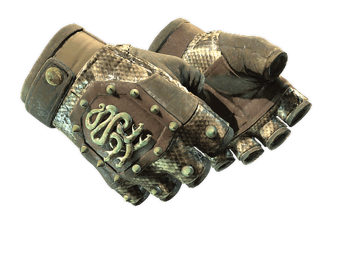 ★ Hydra Gloves | Rattler (Well-Worn)