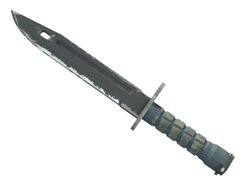★ Bayonet | Night (Field-Tested)