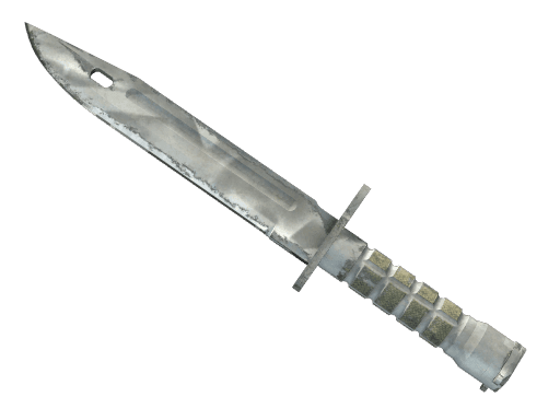 ★ Bayonet | Urban Masked (Well-Worn)