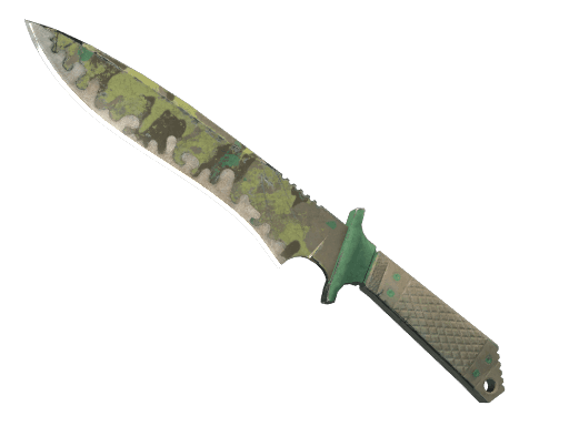 ★ Classic Knife | Boreal Forest (Battle-Scarred)