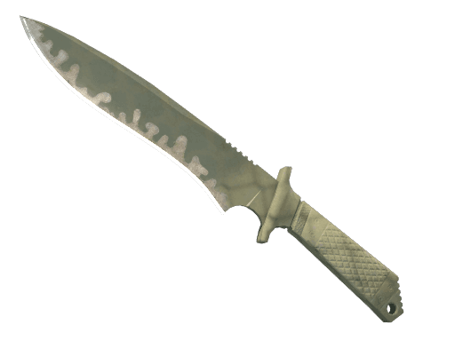 ★ StatTrak™ Classic Knife | Safari Mesh (Well-Worn)