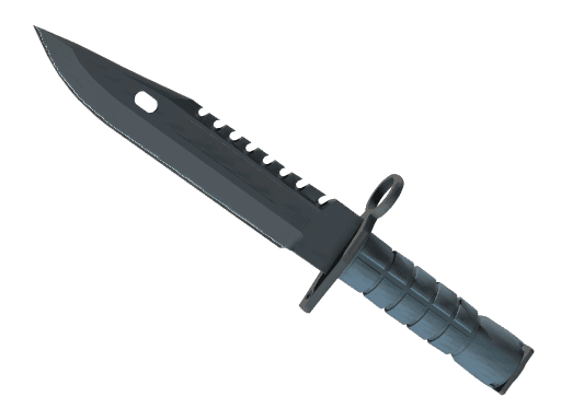 ★ M9 Bayonet | Night (Minimal Wear)