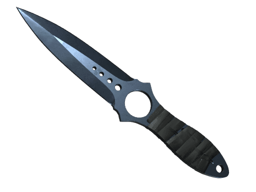 ★ StatTrak™ Skeleton Knife | Blue Steel (Well-Worn)