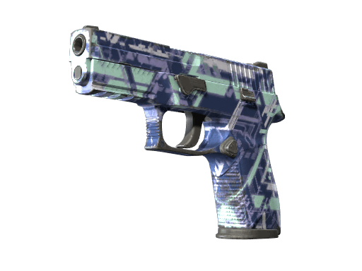 P250 | Digital Architect (Well-Worn)