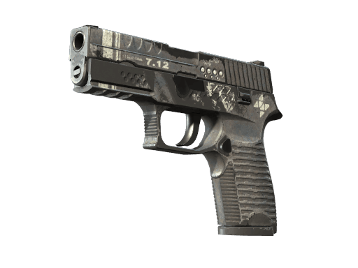 P250 | Re.built (Battle-Scarred)