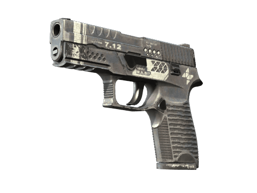 StatTrak™ P250 | Re.built (Field-Tested)