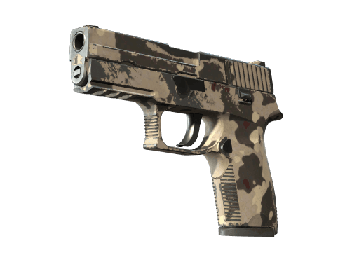 P250 | Black & Tan (Field-Tested)