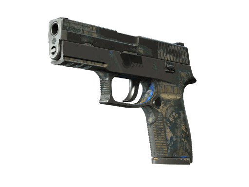 P250 | Exchanger (Battle-Scarred)