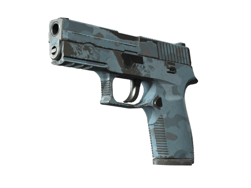 P250 | Forest Night (Field-Tested)