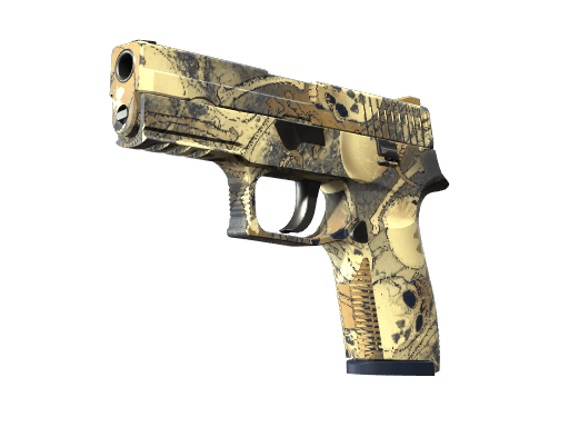 P250 | Contamination (Minimal Wear)