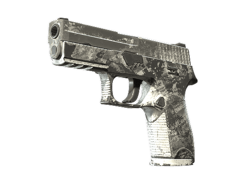 P250 | Sleet (Battle-Scarred)