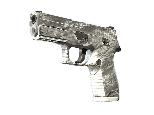 P250 | Sleet (Well-Worn)