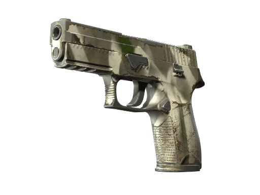 P250 | Bone Mask (Field-Tested)