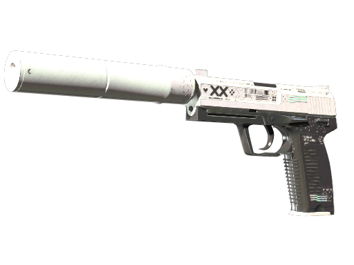 StatTrak™ USP-S | Printstream (Well-Worn)